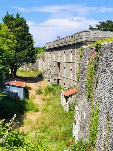 Le Fort de Surville