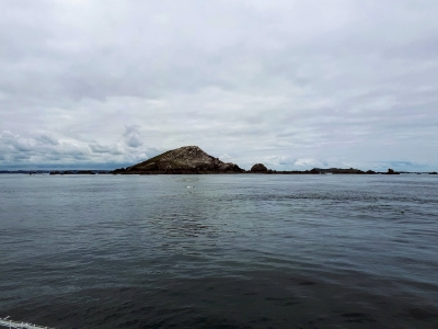 L'île Rouzik, principal site occupé par les oiseaux.